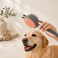 Spazzola 2 in 1 rimuovi pelo autopulente per cani e gatti